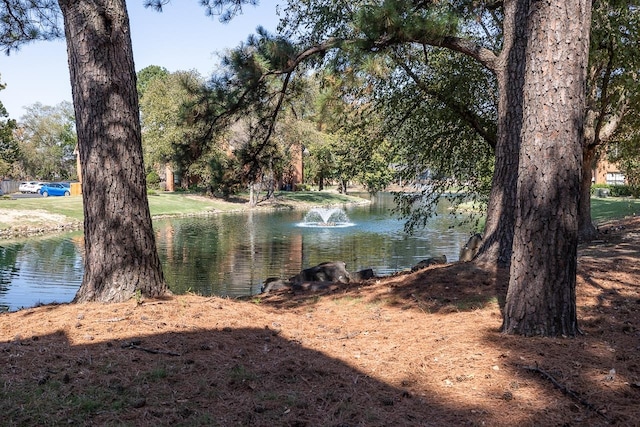 view of water feature