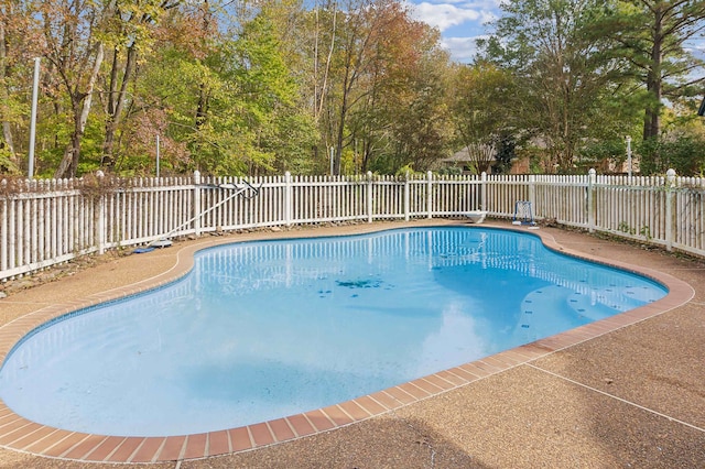 view of swimming pool