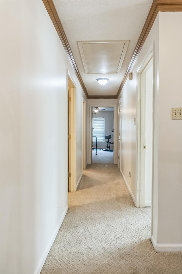 corridor featuring light carpet and crown molding