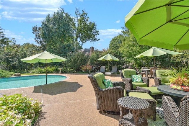 view of pool with a patio