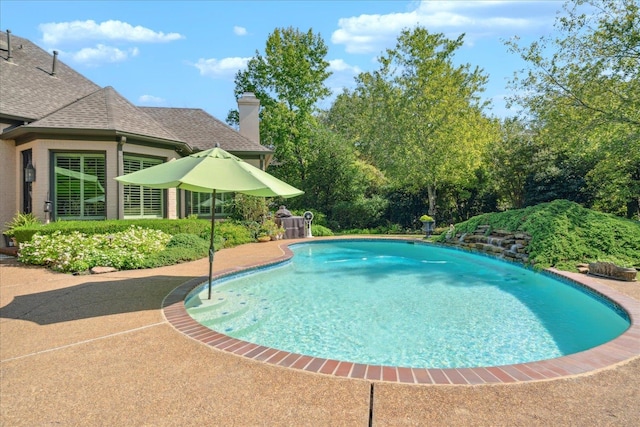 view of swimming pool with a patio area