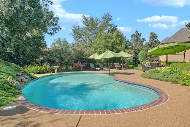 view of pool with a patio area