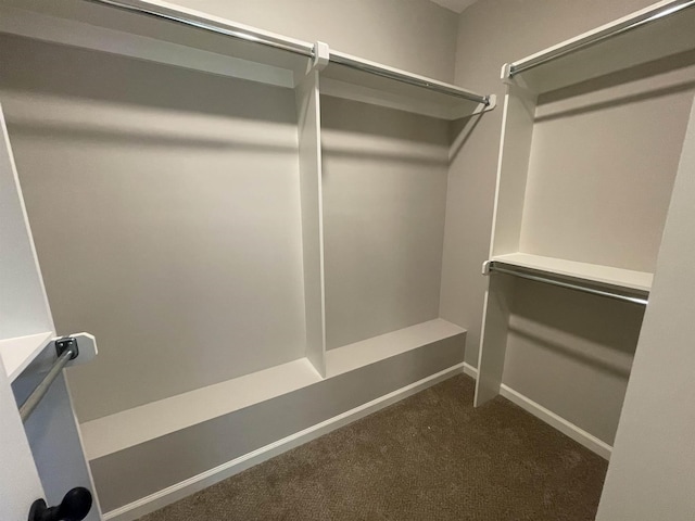 spacious closet featuring dark colored carpet