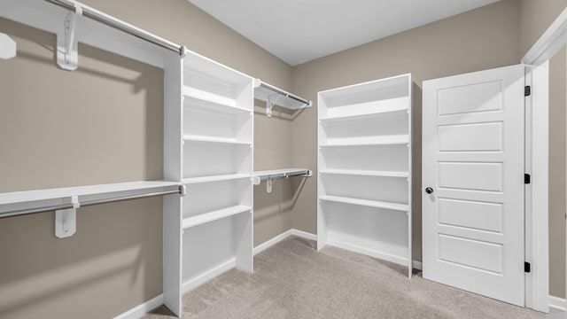 walk in closet with light colored carpet