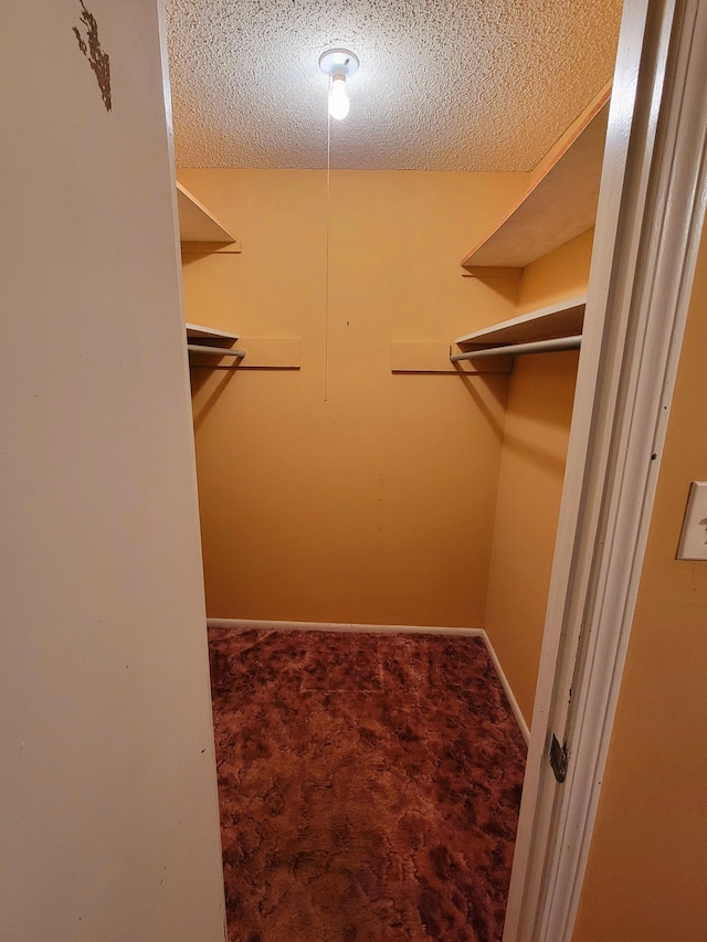 spacious closet featuring carpet flooring