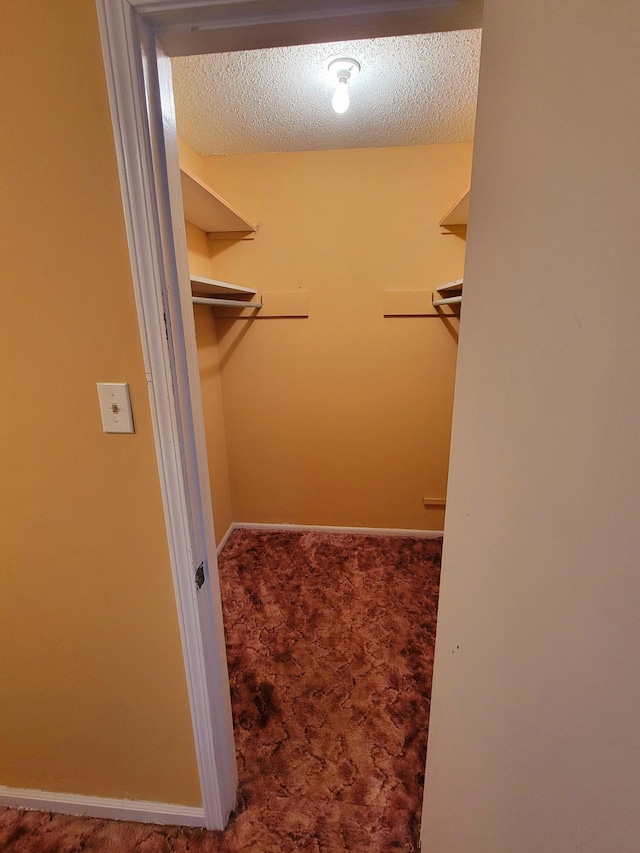 5273 Chatfield Dr Unit 5273, Memphis, TN 38116 - spacious closet featuring carpet flooring