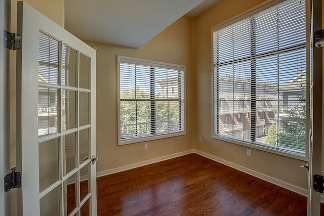 spare room with french doors, dark hardwood / wood-style floors, and plenty of natural light