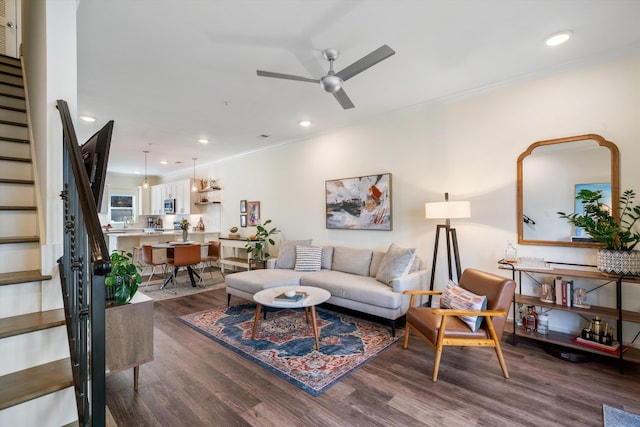 living room with ceiling fan, ornamental molding, and dark hardwood / wood-style flooring