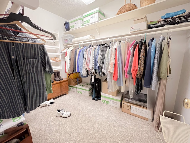 spacious closet with carpet