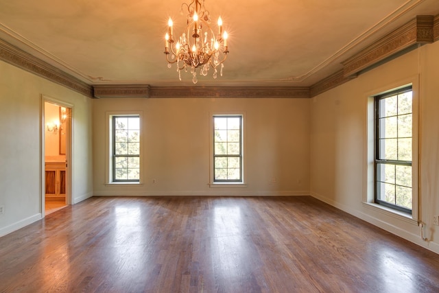 unfurnished room featuring hardwood / wood-style floors, crown molding, and a wealth of natural light