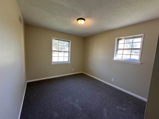 carpeted empty room featuring a textured ceiling and plenty of natural light