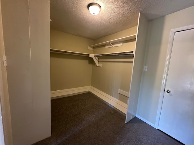 walk in closet with dark colored carpet