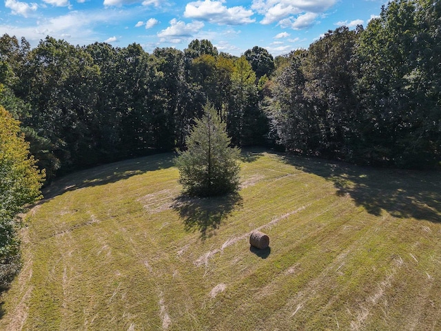825 Barham Ln, Bolivar, TN 38008 - bird's eye view