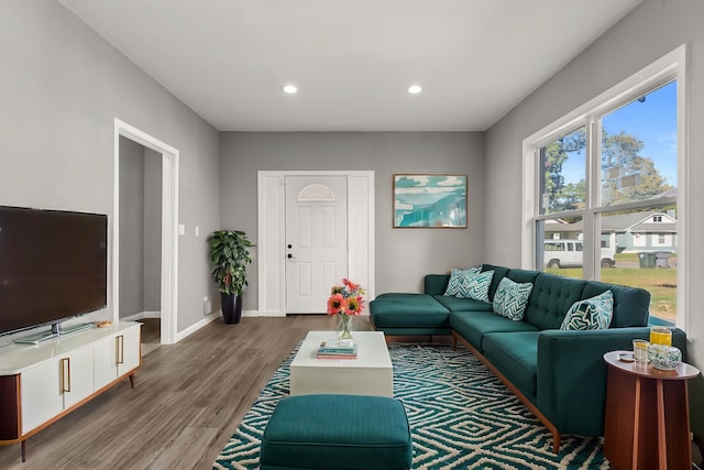 living room with wood-type flooring