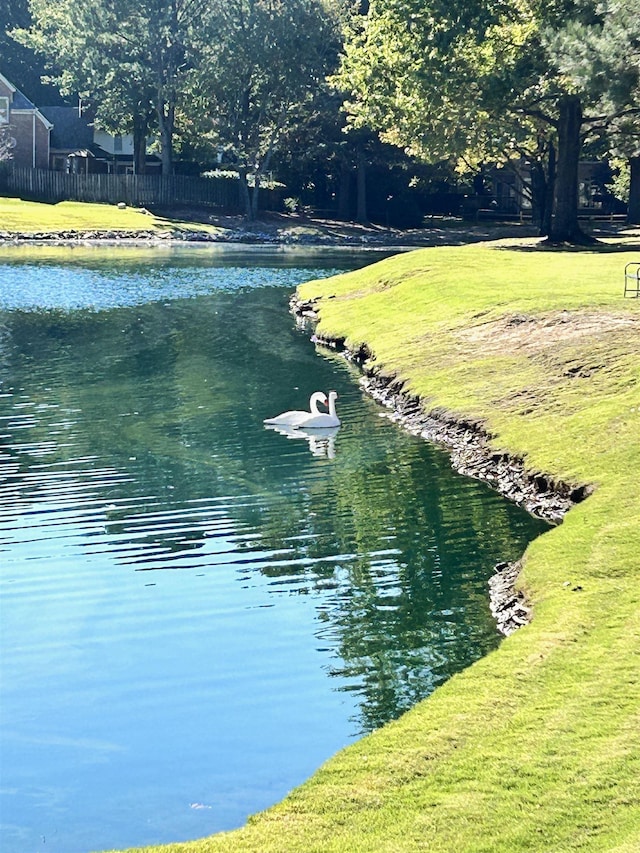 1842 Swynford Ln, Collierville, TN 38017 - water view with fence