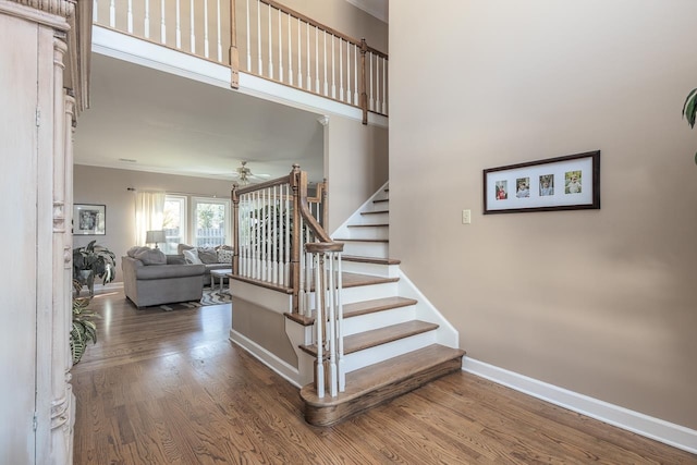 staircase featuring hardwood / wood-style floors and ceiling fan