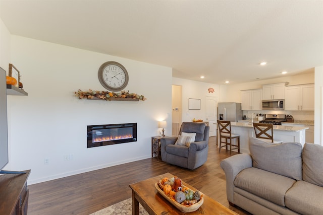 living room with dark hardwood / wood-style floors