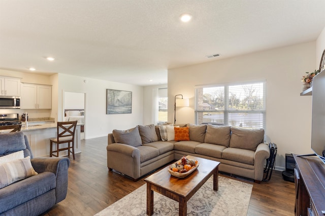 living room with dark wood-type flooring and a textured ceiling