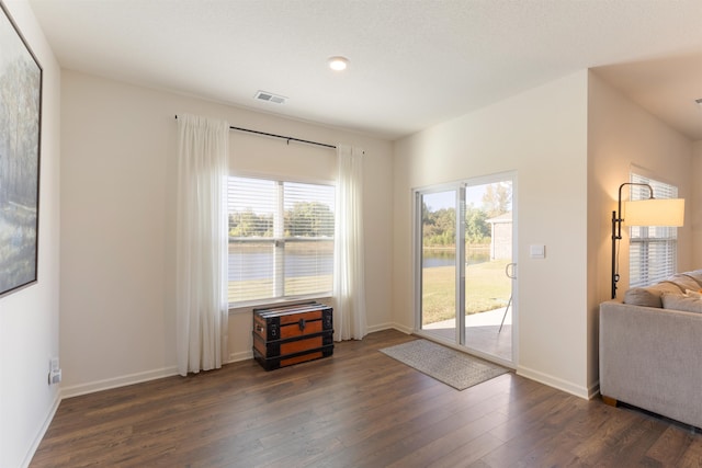 entryway featuring dark wood-type flooring and a healthy amount of sunlight