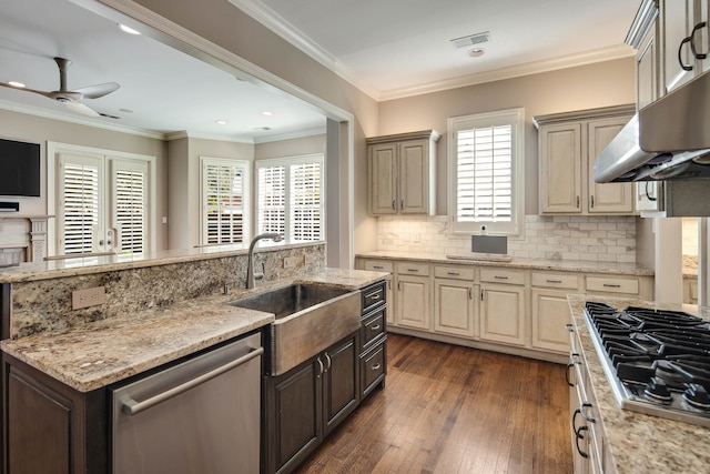 kitchen with dark hardwood / wood-style floors, exhaust hood, ornamental molding, sink, and appliances with stainless steel finishes