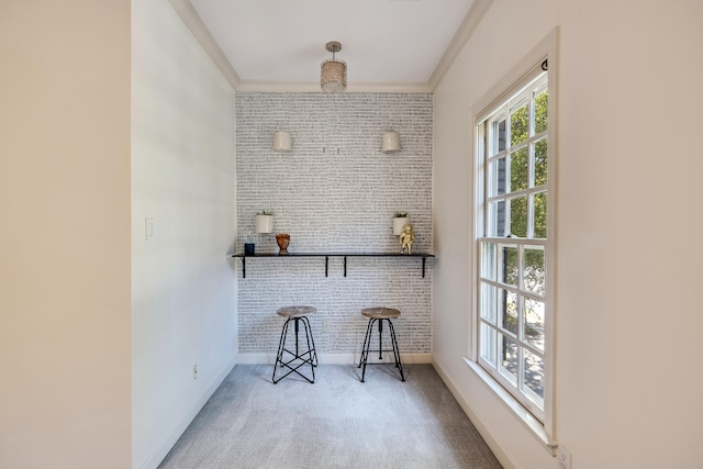 bar featuring crown molding and carpet