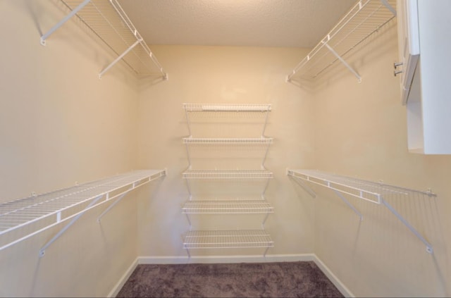 spacious closet featuring carpet flooring