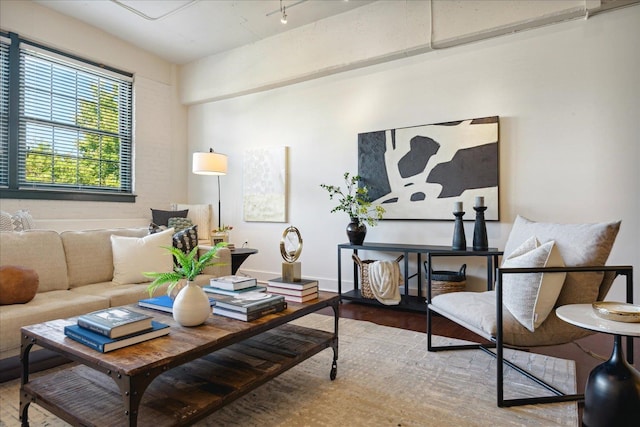 living room with hardwood / wood-style flooring