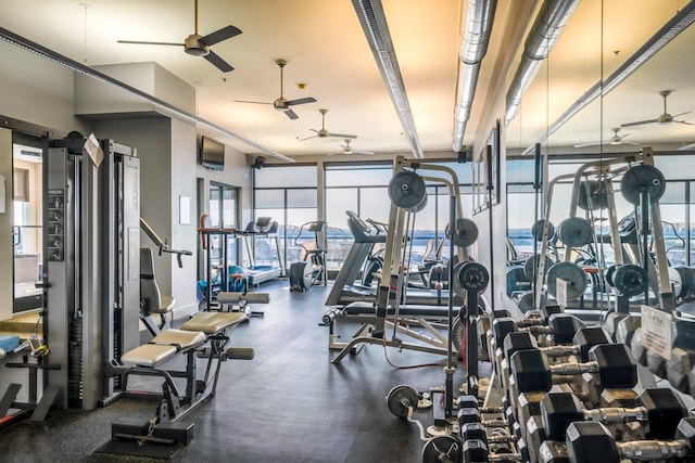 gym featuring ceiling fan and plenty of natural light