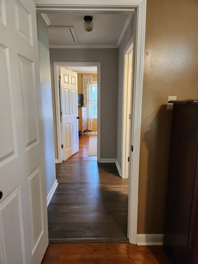 hall with crown molding and dark wood-type flooring