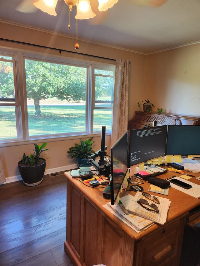 981 Durhamville Rd, Ripley, TN 38063 - home office with baseboards, plenty of natural light, ornamental molding, and hardwood / wood-style floors