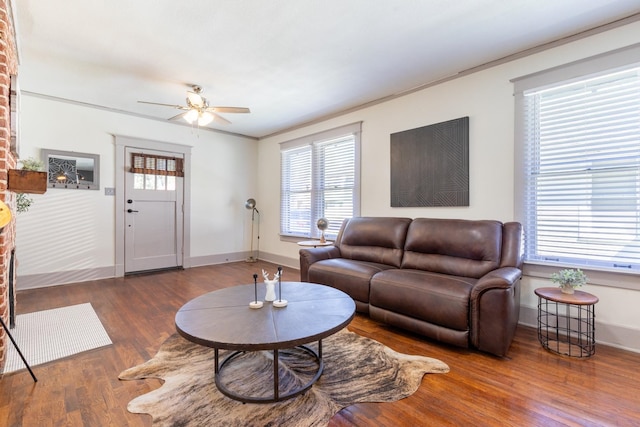 living room with ornamental molding, dark wood-type flooring, and ceiling fan