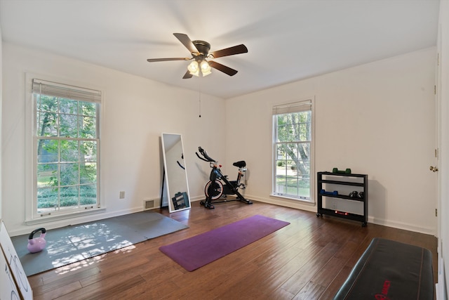 workout room featuring dark wood-type flooring, ceiling fan, and a healthy amount of sunlight