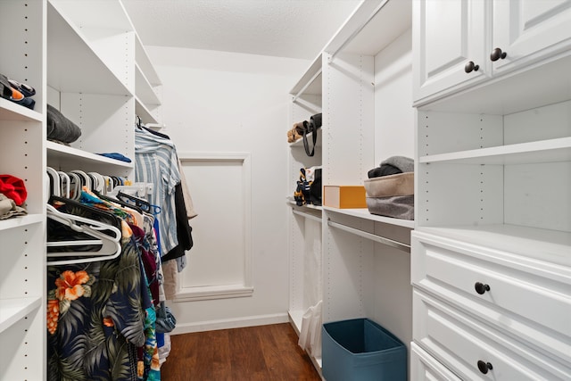 spacious closet featuring dark hardwood / wood-style flooring