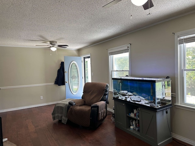 sitting room with ceiling fan, a textured ceiling, a wealth of natural light, and dark hardwood / wood-style flooring