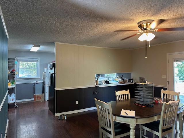 dining space featuring dark wood-type flooring, a textured ceiling, and a healthy amount of sunlight