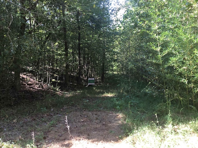 High Smith Rd, Finger TN, 38334 land for sale