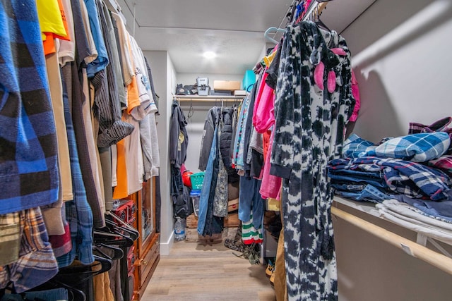 spacious closet with light hardwood / wood-style flooring