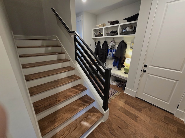 mudroom featuring dark hardwood / wood-style flooring