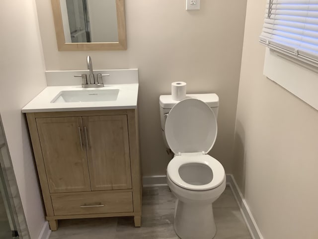 bathroom with toilet and vanity