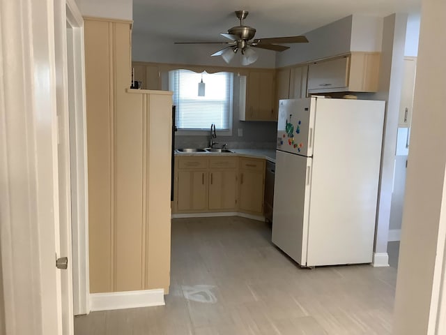 kitchen featuring sink, ceiling fan, light hardwood / wood-style floors, white refrigerator, and light brown cabinets