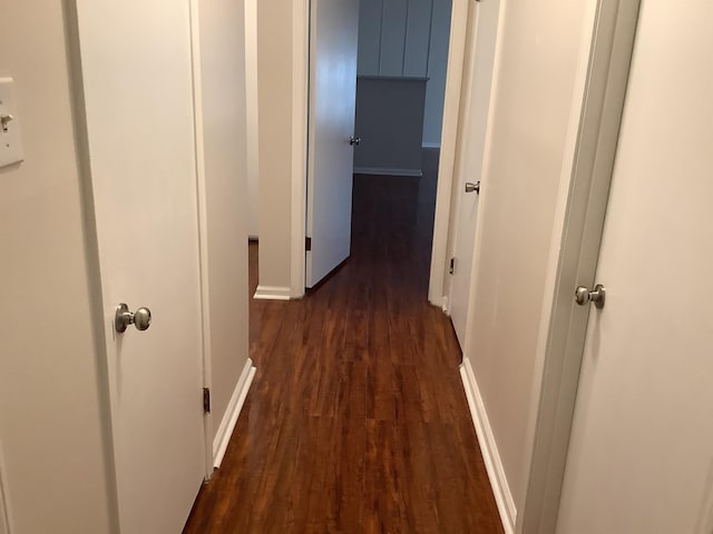 corridor featuring dark wood-type flooring