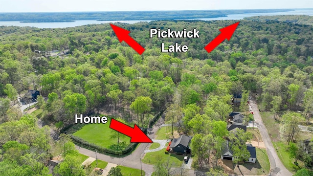 10 Rising Sun Ln, Counce, TN 38326 - aerial view with a water view and a wooded view