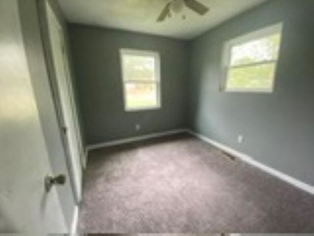 empty room featuring carpet and ceiling fan