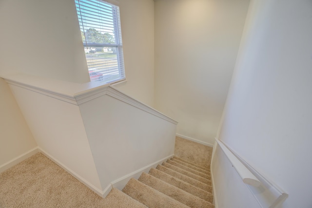 stairs with carpet floors