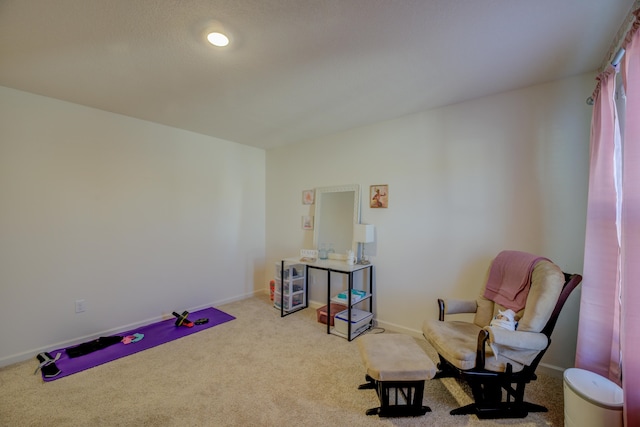 living area with light colored carpet