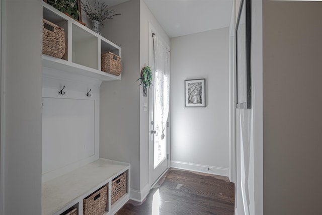 mudroom with dark hardwood / wood-style flooring