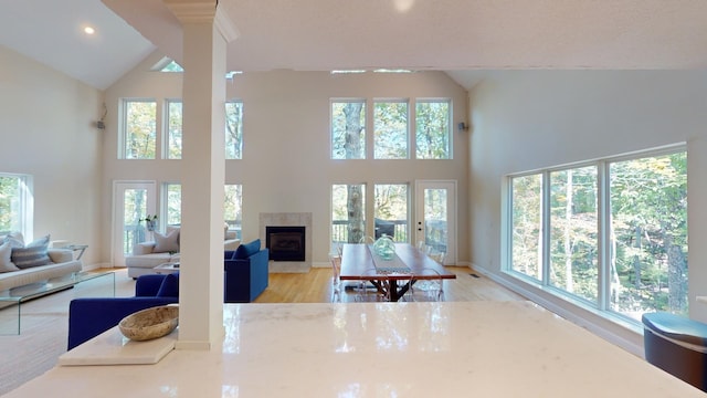 living room featuring light wood-type flooring, high vaulted ceiling, and plenty of natural light