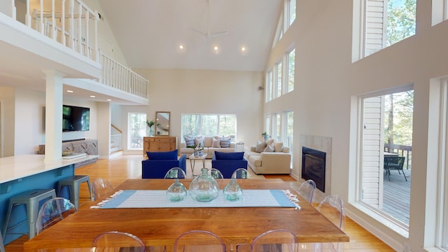 dining room with light hardwood / wood-style floors and high vaulted ceiling