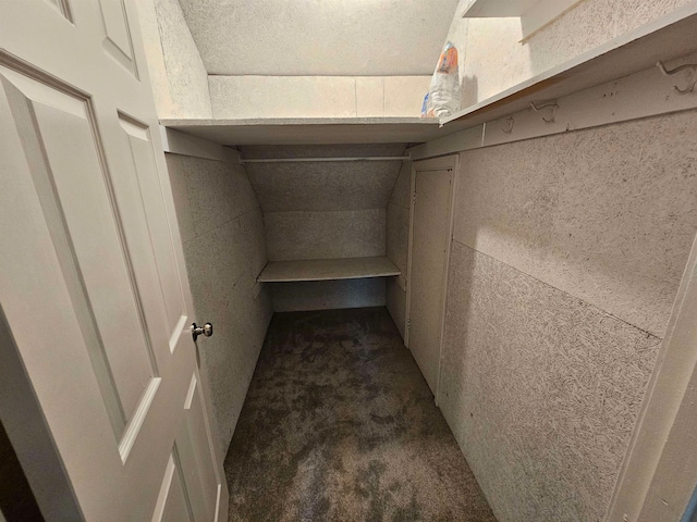 spacious closet featuring carpet flooring