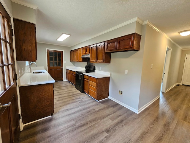 kitchen featuring sink, a textured ceiling, light hardwood / wood-style floors, black / electric stove, and crown molding